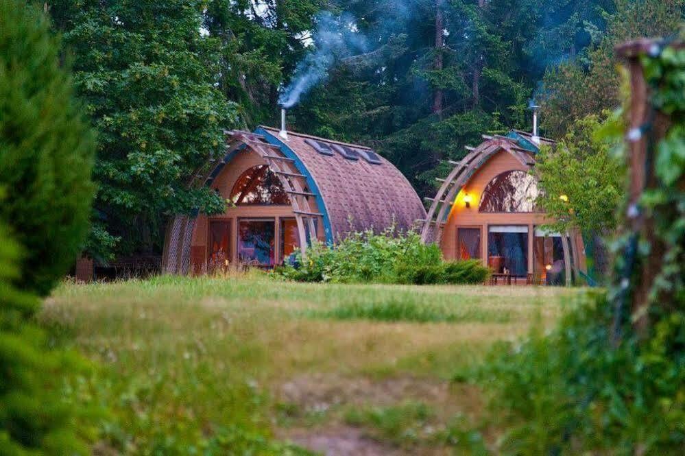 Mineral Springs Resort Fernwood Kültér fotó